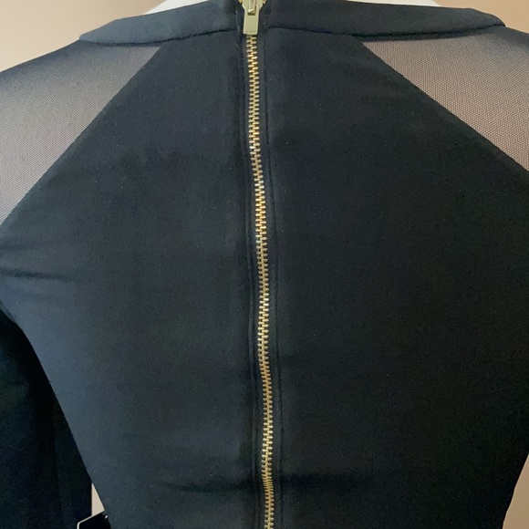 28. EXPRESS Mesh Long Sleeve Mini Dress - Picture 4 of 4